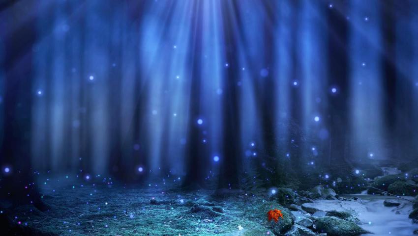 Quiet Night Forest Dynamic Particle Light Effect Background Video Element  Video Template, Download And Customize - Lovepik