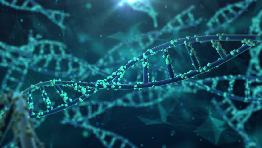 DNA Strand Gene Strand 4K Video Template, Download And Customize - Lovepik