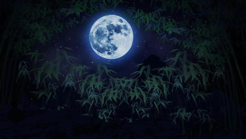 Dynamic 4K Bamboo Forest Night View Night Sky Moon Video ...