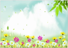 Sunflower Video Templates Download - 220+ HD Royalty Free Video Clip  Templates For You - Lovepik